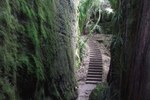 Grove 4_400x600